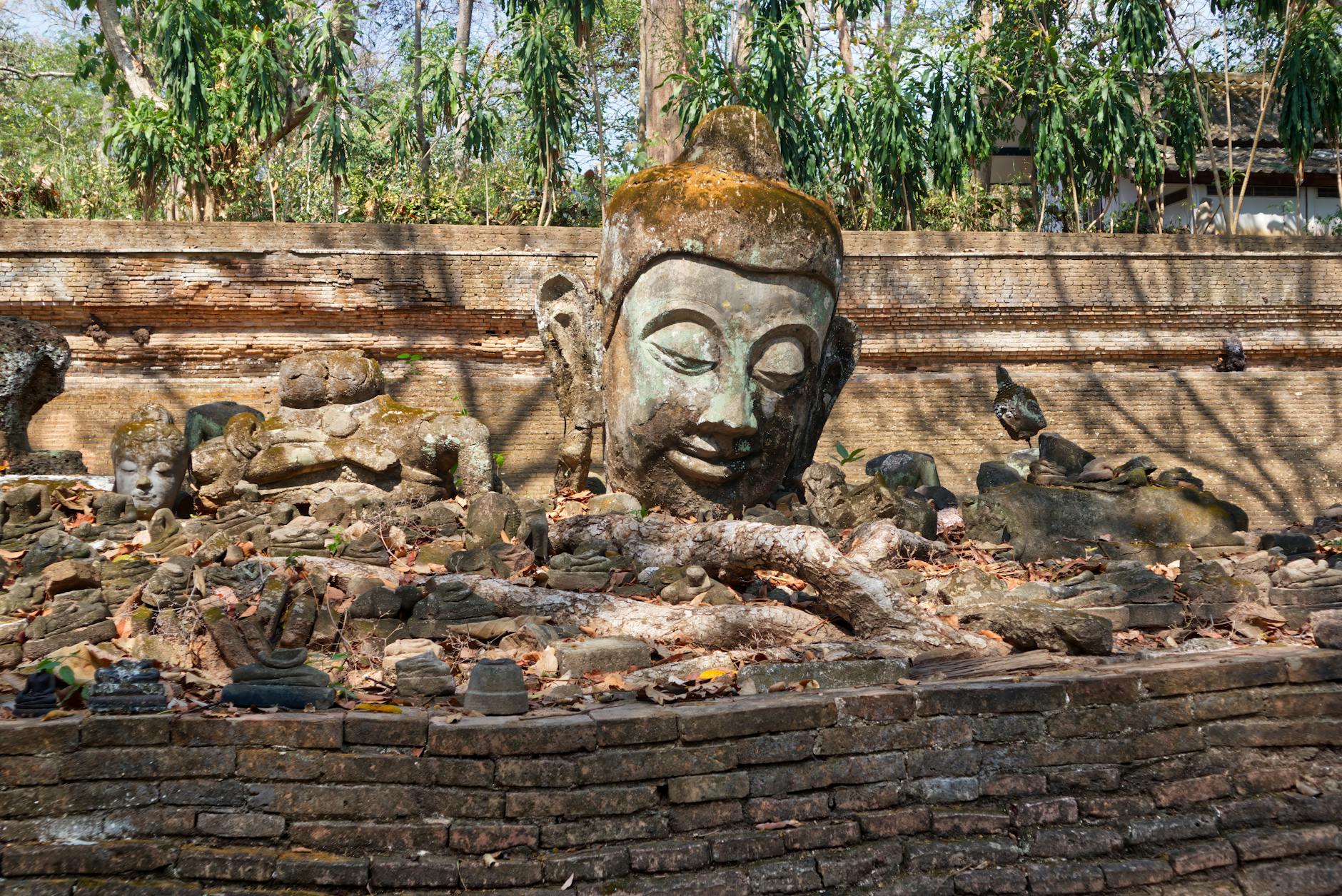A serene Buddha head amidst ancient bricks and ruins in Chiang Mai, Thailand. - what does apologize mean
