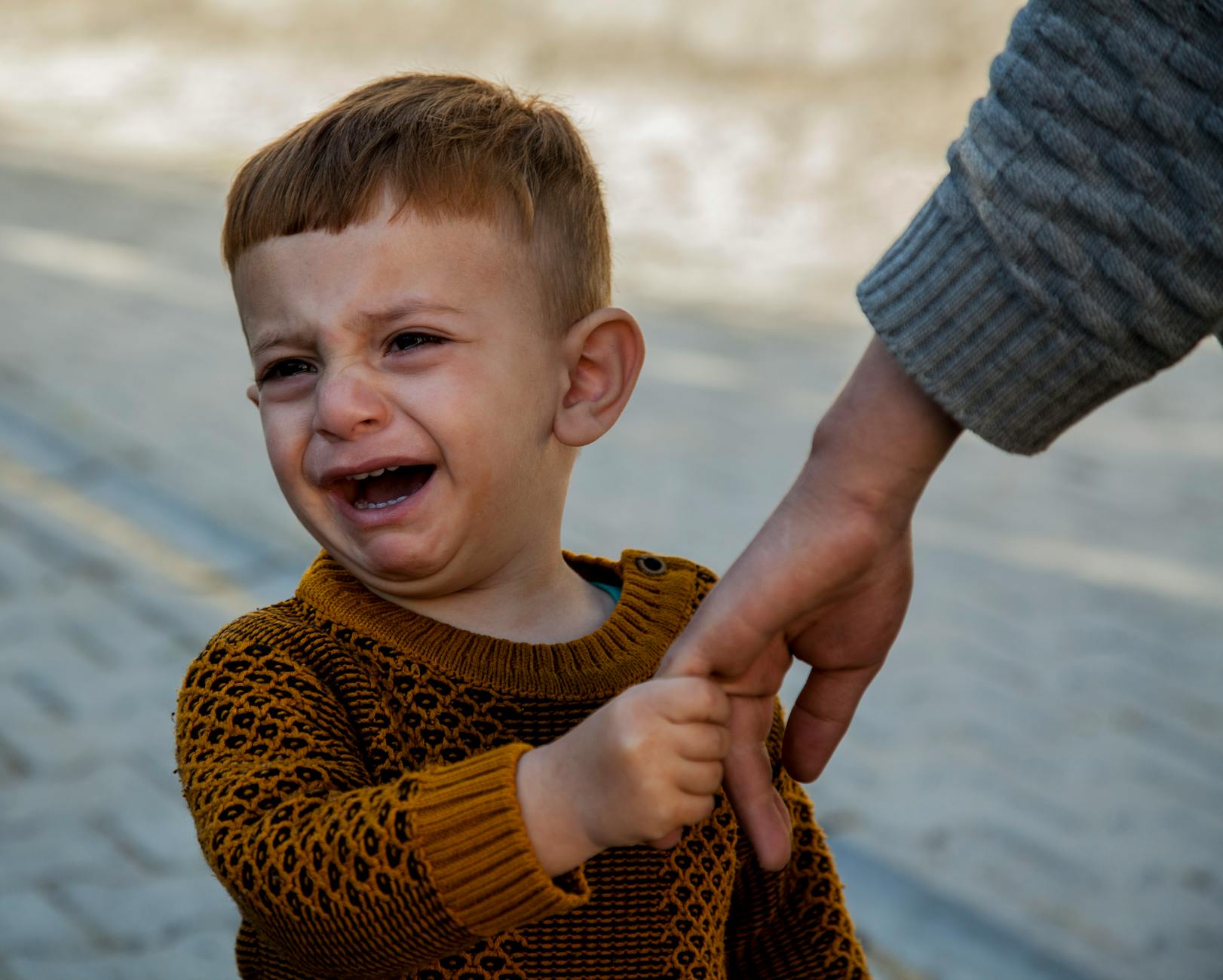 A crying toddler in a sweater holds an adult's hand outdoors, expressing emotion. - child emotional changes