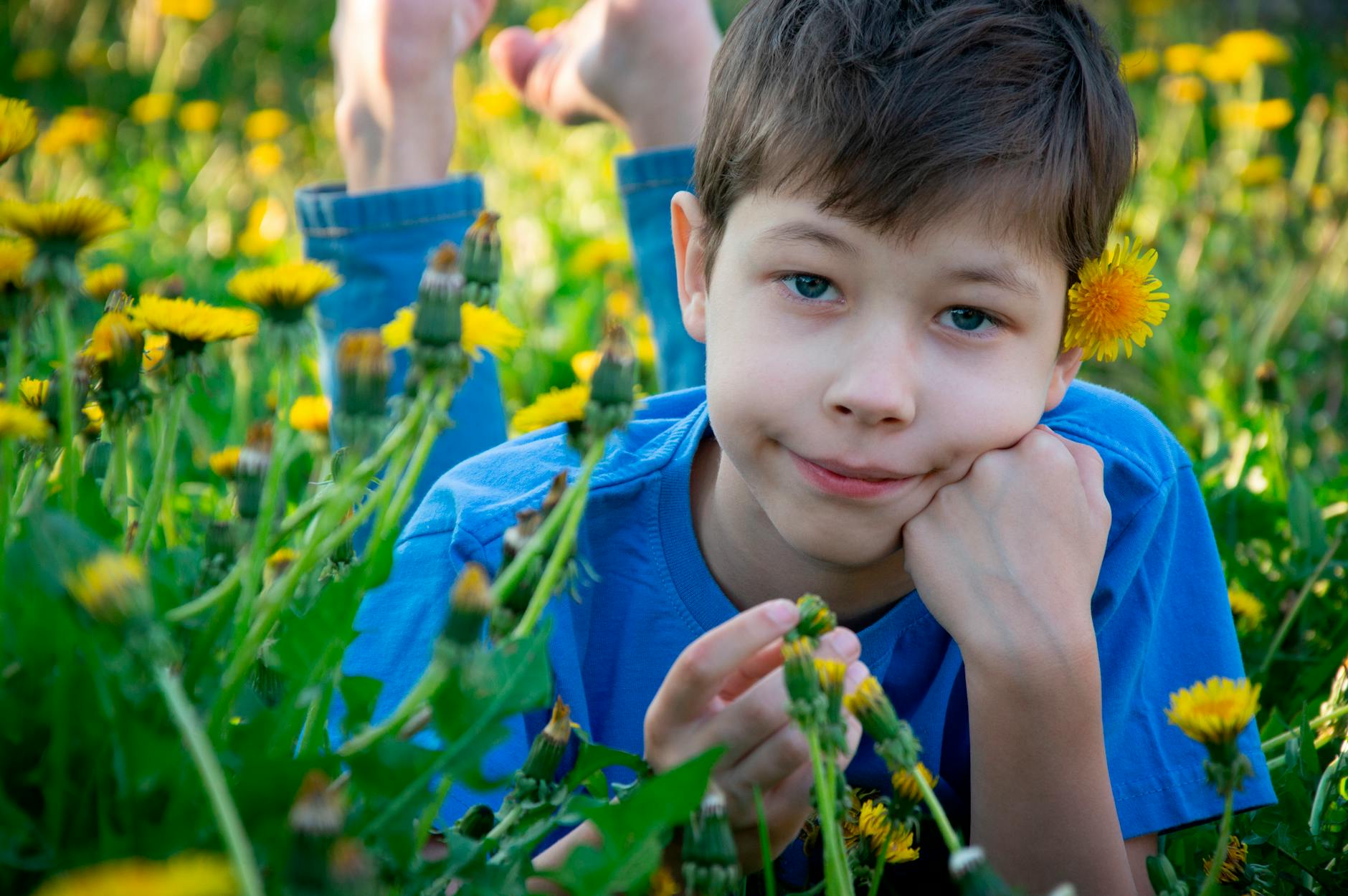 A young boy lies in a sunny meadow surrounded by vibrant dandelions, enjoying a summer day. - child spring allergies