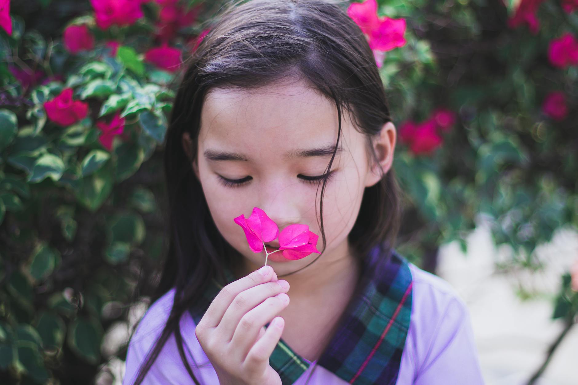 A young girl in a purple dress enjoying the scent of pink bougainvillea flowers in a vibrant garden setting. - child spring allergies