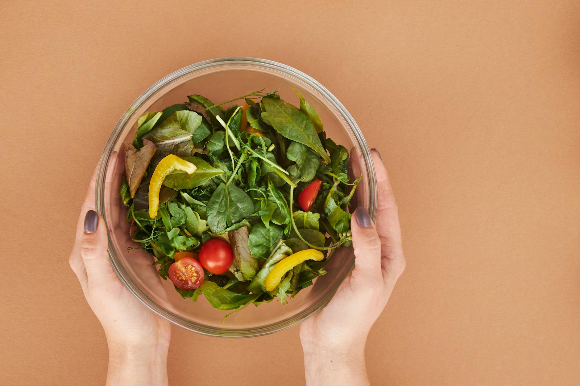 Healthy fresh salad bowl with cherry tomatoes and greens held by hands on a brown surface. - diet for mental clarity