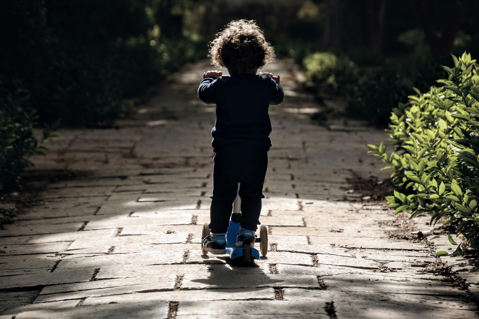 Rear view of a child riding a scooter on a sunlit garden path, immersed in nature. - fostering child independence