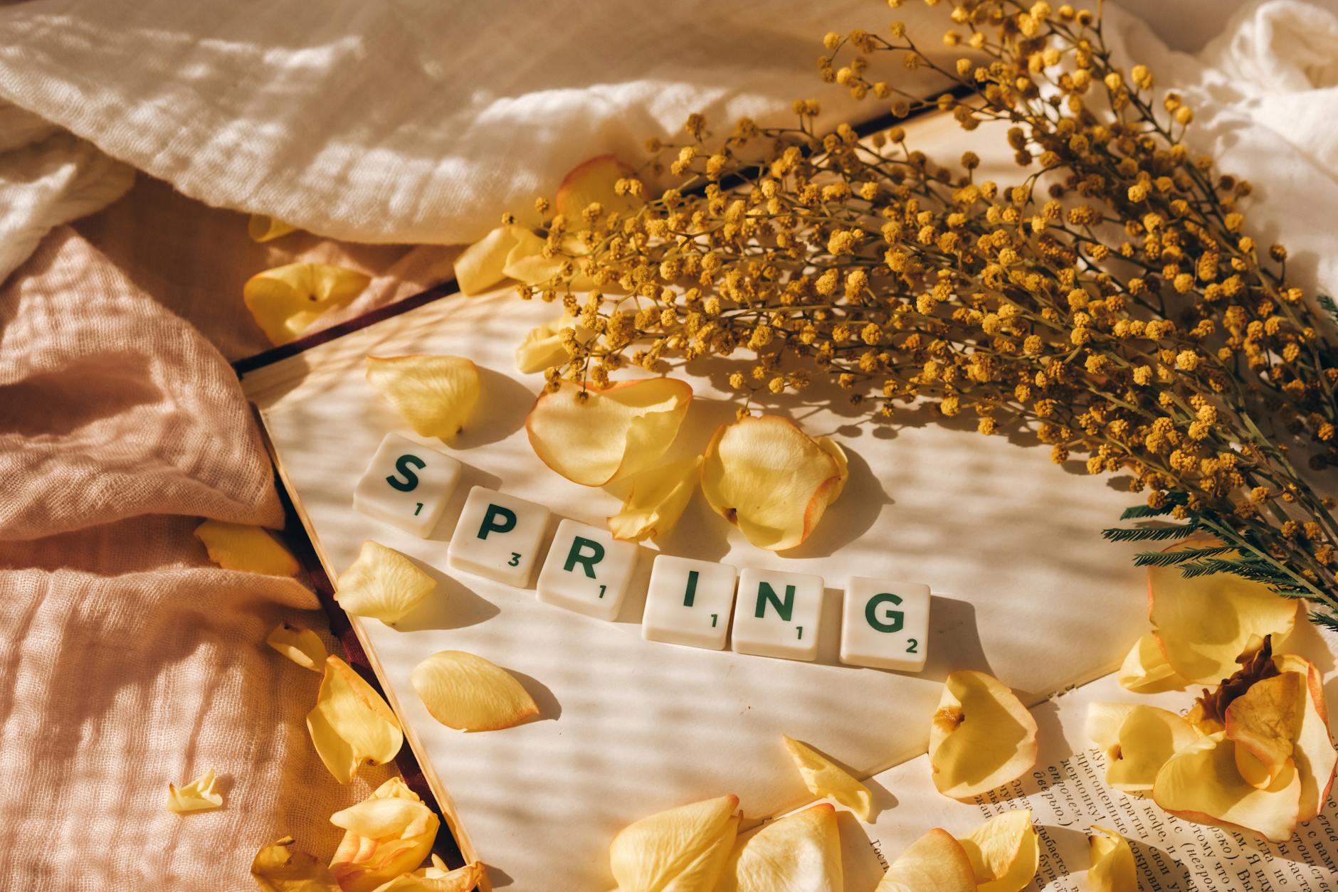 Flat lay of Scrabble tiles, yellow petals, and mimosa for a spring theme. - mental decluttering spring