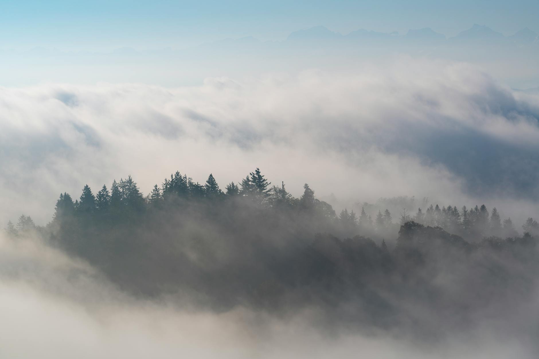 Tranquil view of mist-covered hills and forest at dawn, creating a serene atmospheric landscape. - overcome mental fog