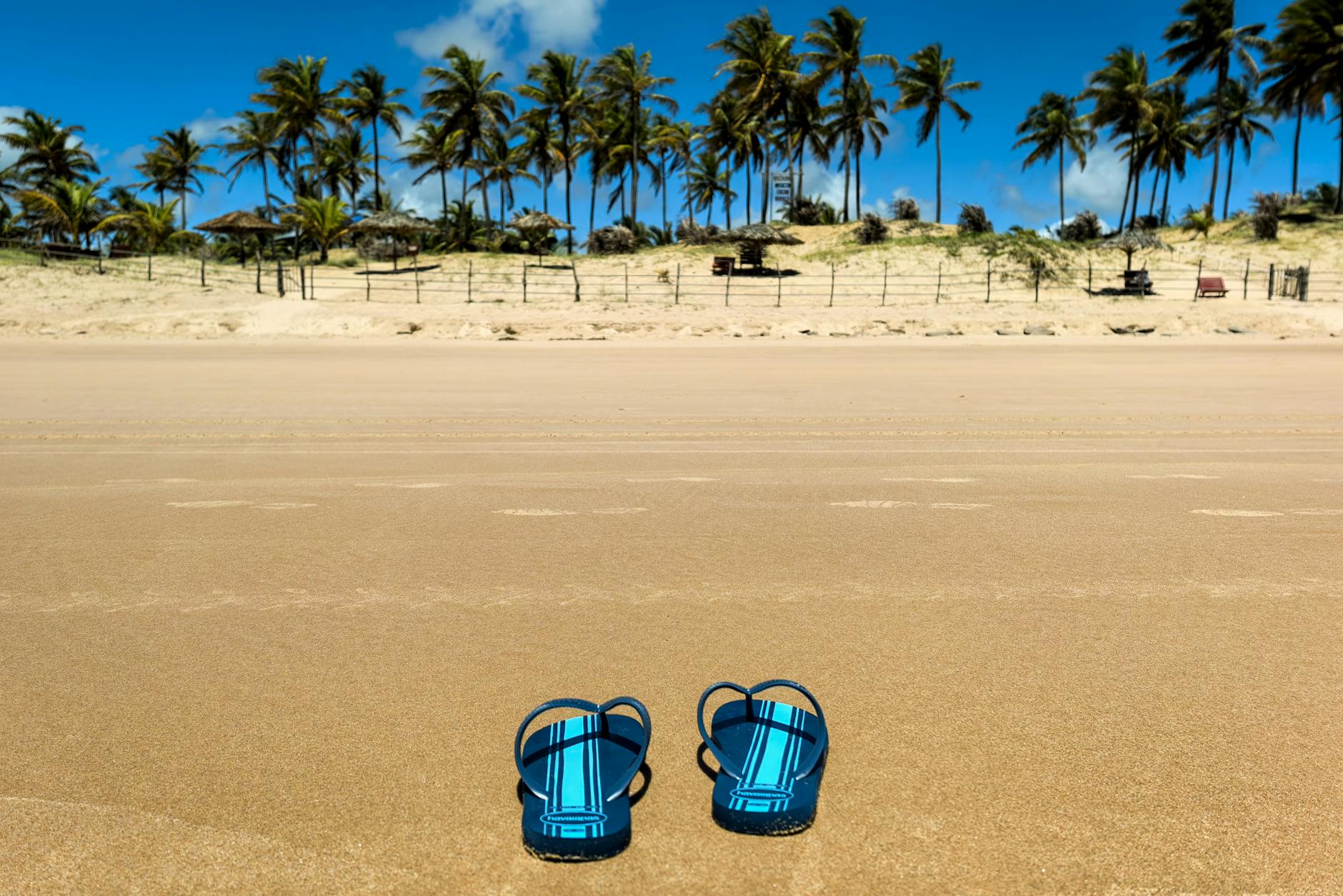 Blue sandals on a sandy beach with palm trees in the background under a clear sky. - post vacation blues
