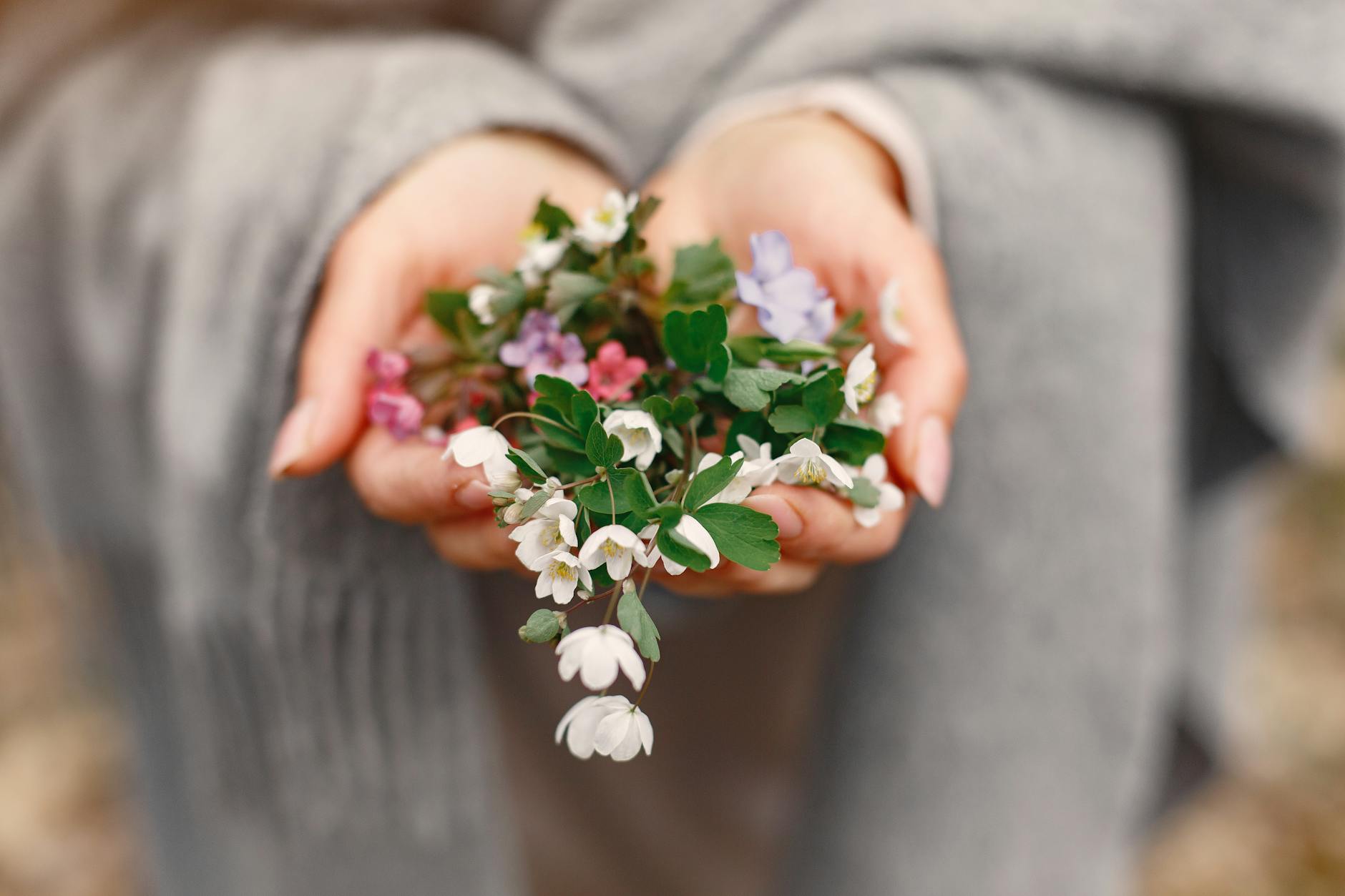 Gentle hands cradle a colorful mix of wildflowers, captured in soft focus outdoors. - spring anxiety therapist