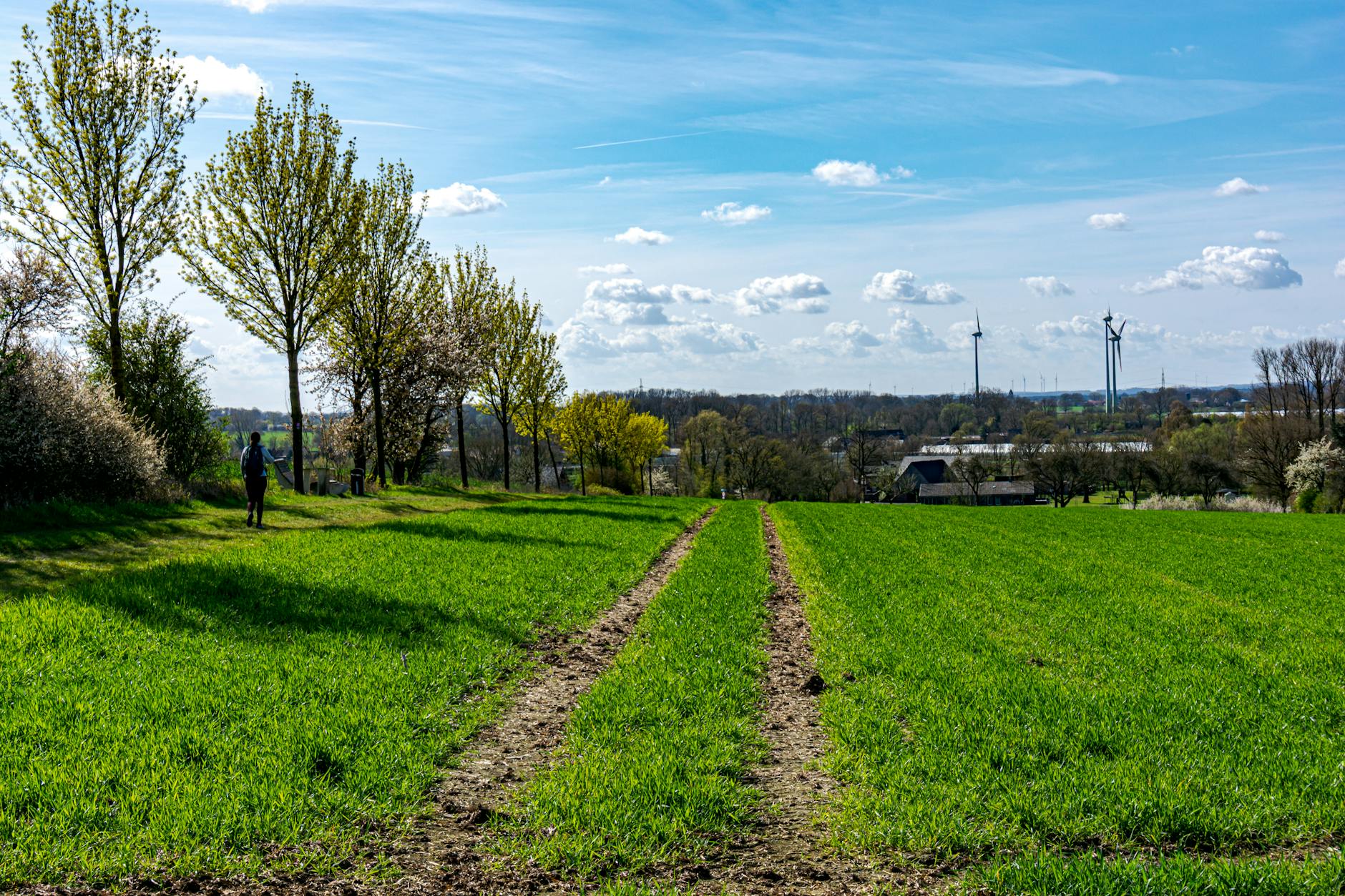 Vibrant spring landscape featuring green fields, trees, and wind turbines in Coesfeld, Germany. - spring energy slump