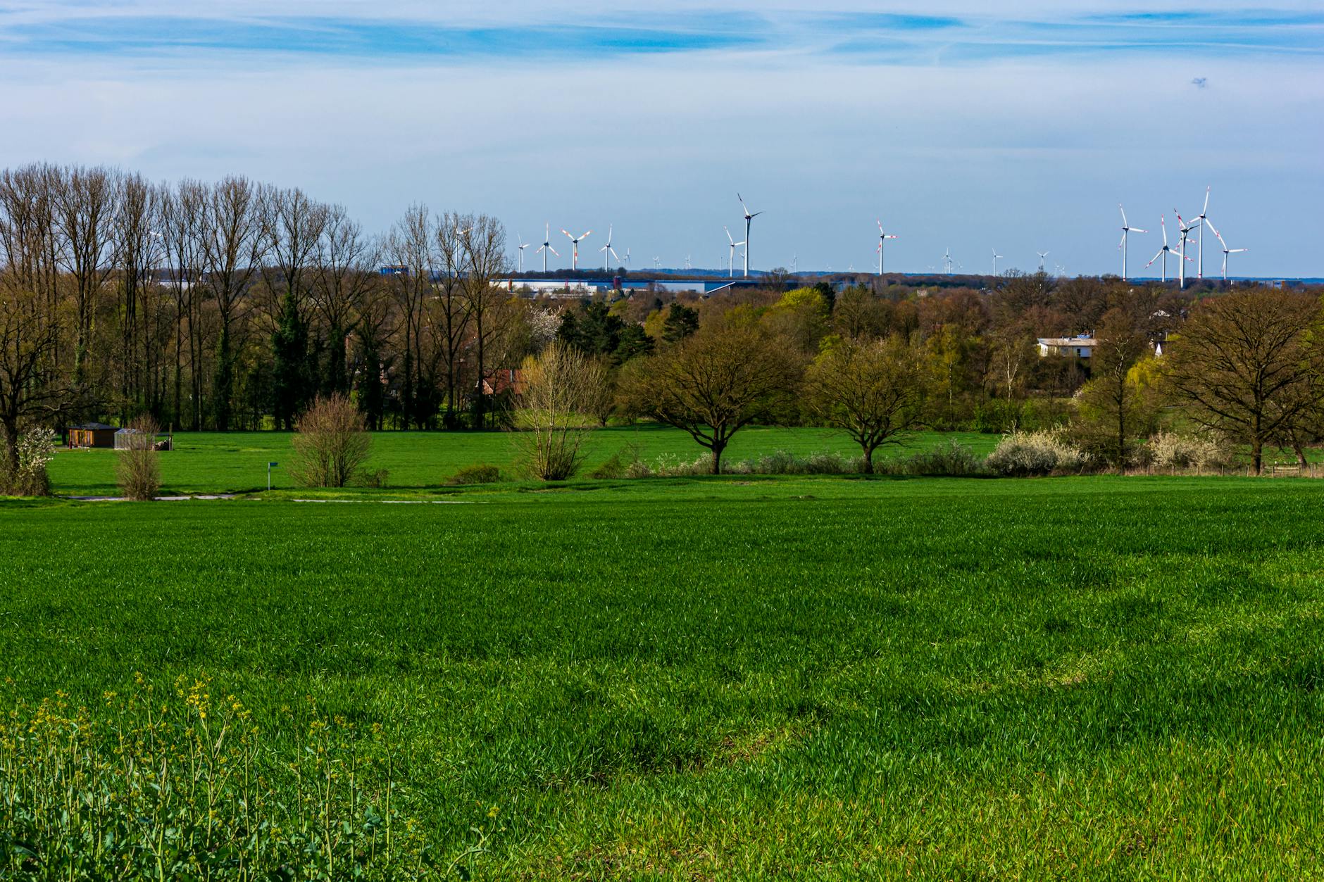 Lush green fields and wind turbines under a clear blue sky in Coesfeld, Germany. - spring energy slump