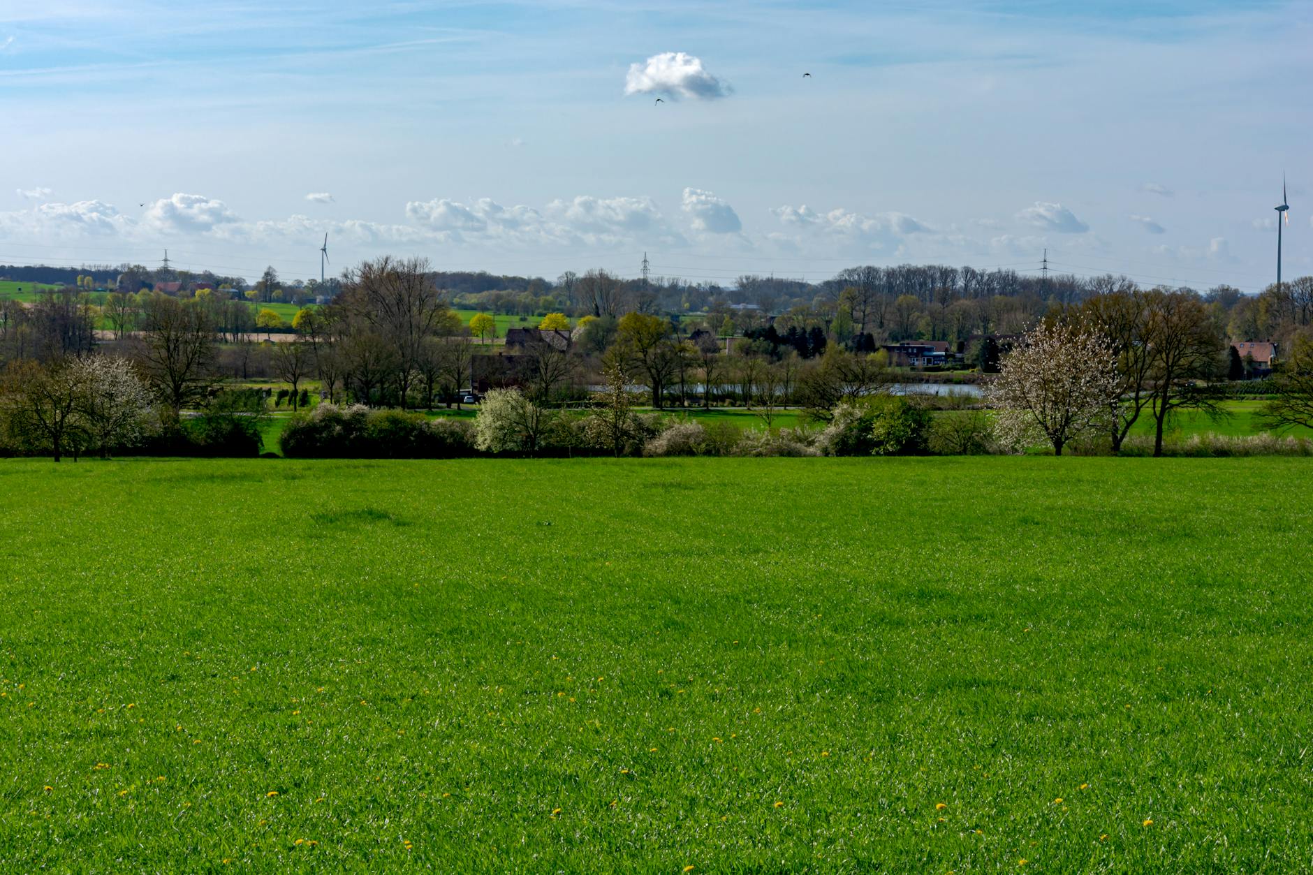 Lush green field with trees and wind turbines in Coesfeld, NRW, Germany. - spring energy slump