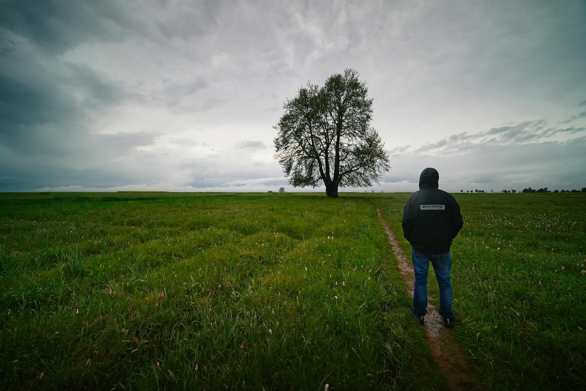 Solitary person walks toward a lone tree in a wide green field under a cloudy sky. - spring loneliness