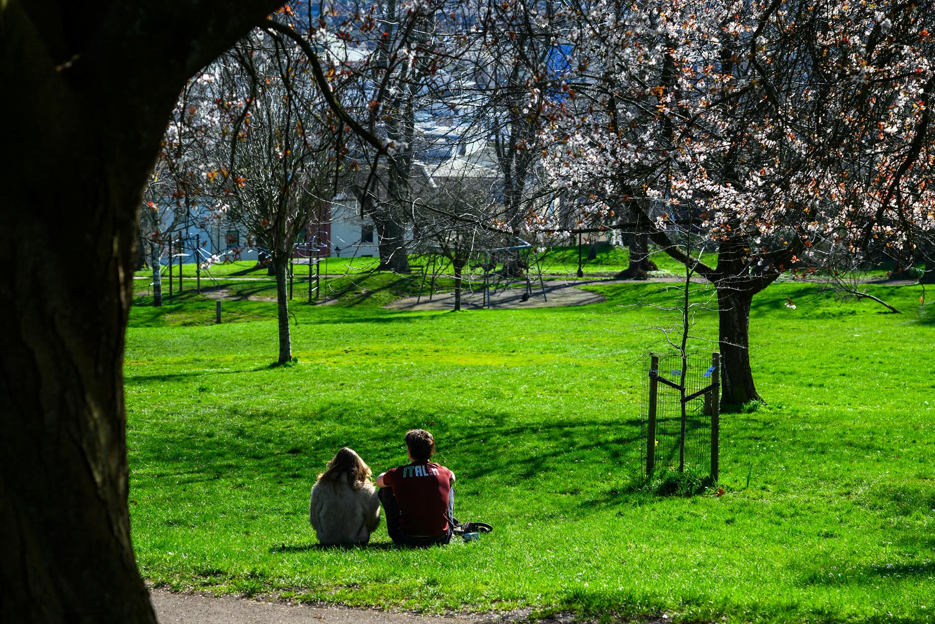 A serene moment in a park with blooming trees and two people enjoying the sunlight. - spring sad couples