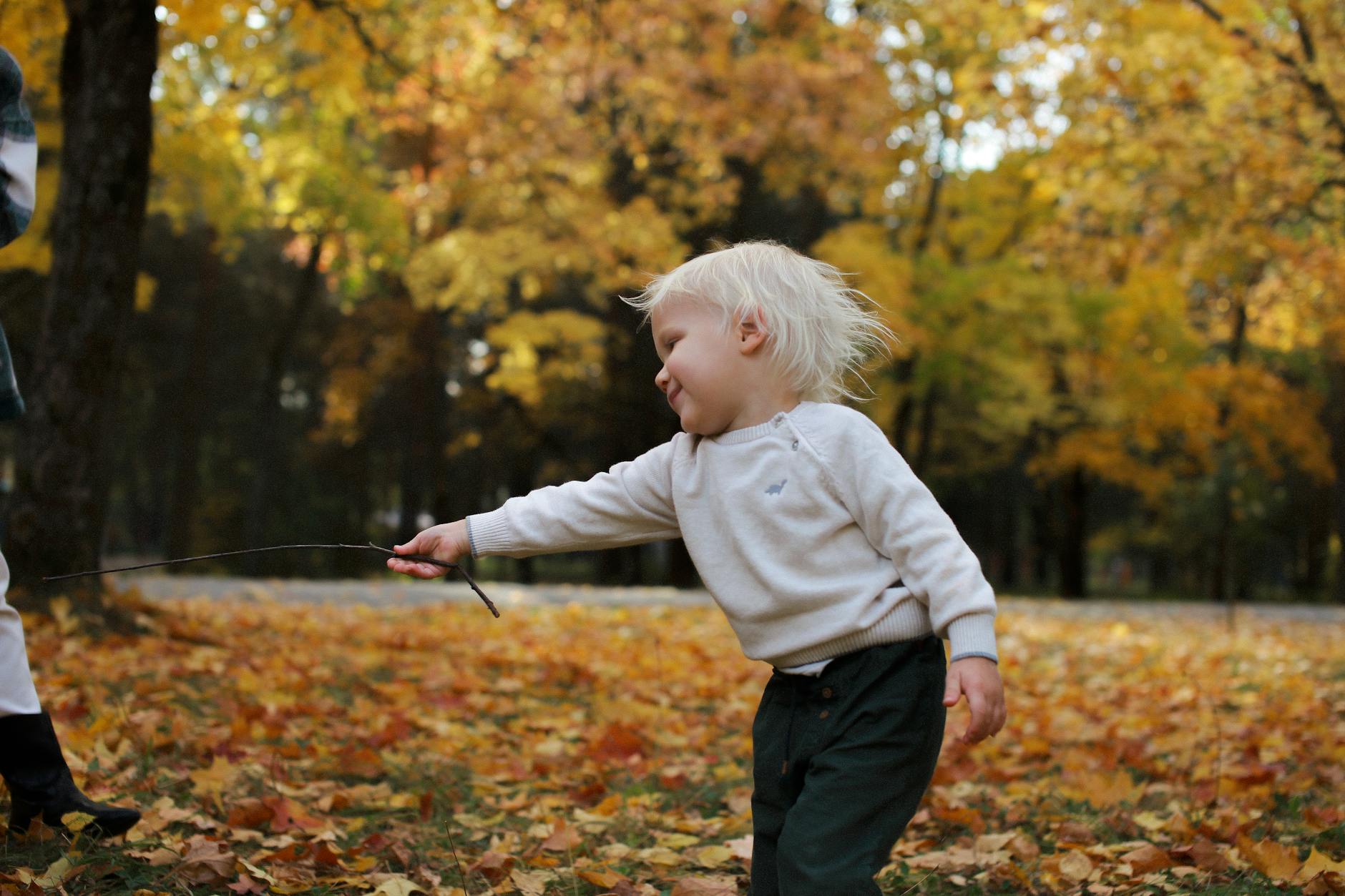 A young child joyfully plays with a stick amidst colorful fall leaves in a park. - toddler outdoor exploration