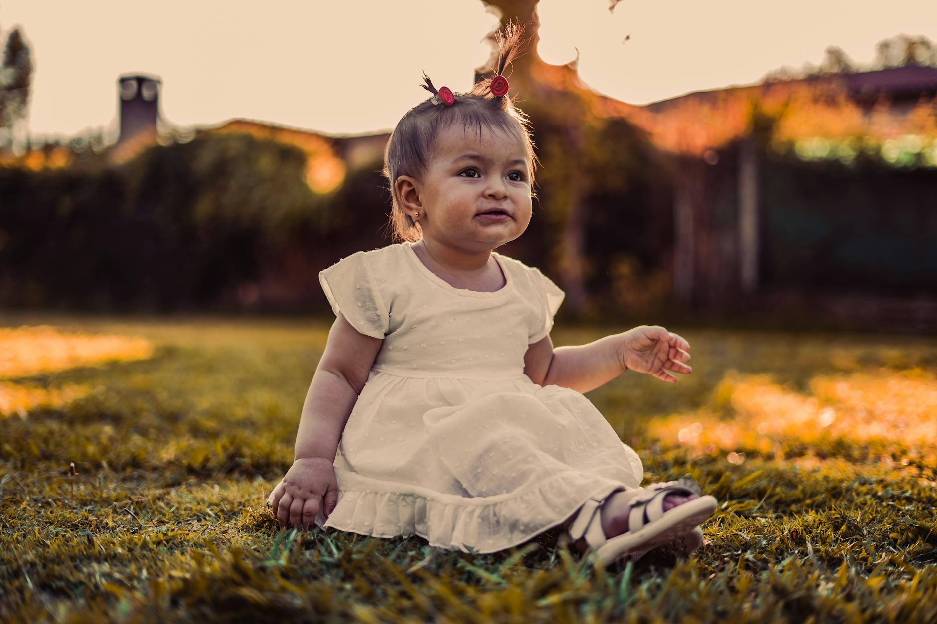 A cute baby girl in a white dress playing on the grass in a park during sunset. - toddler outdoor exploration