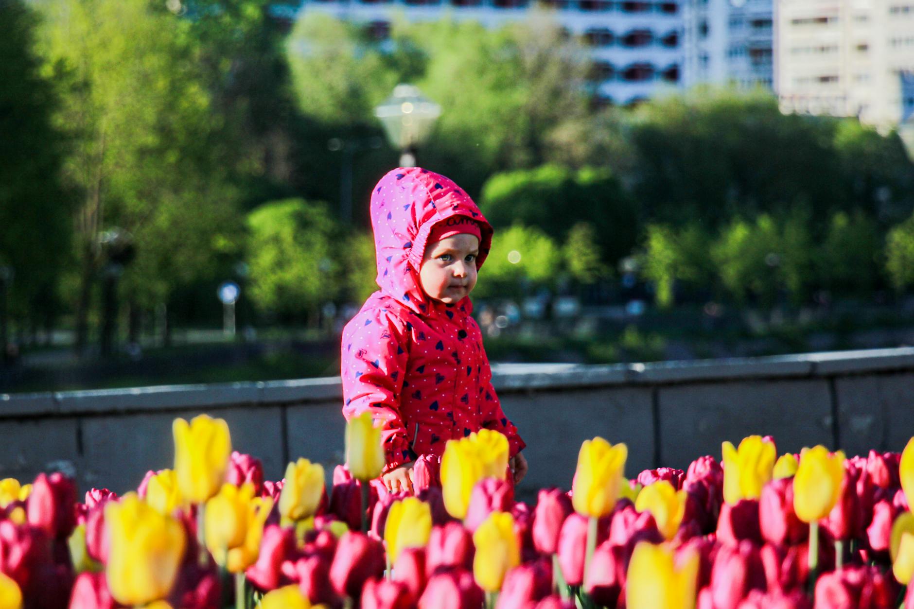 A young child in a red jacket standing among vibrant tulips, with city buildings in the background. - toddler spring nature