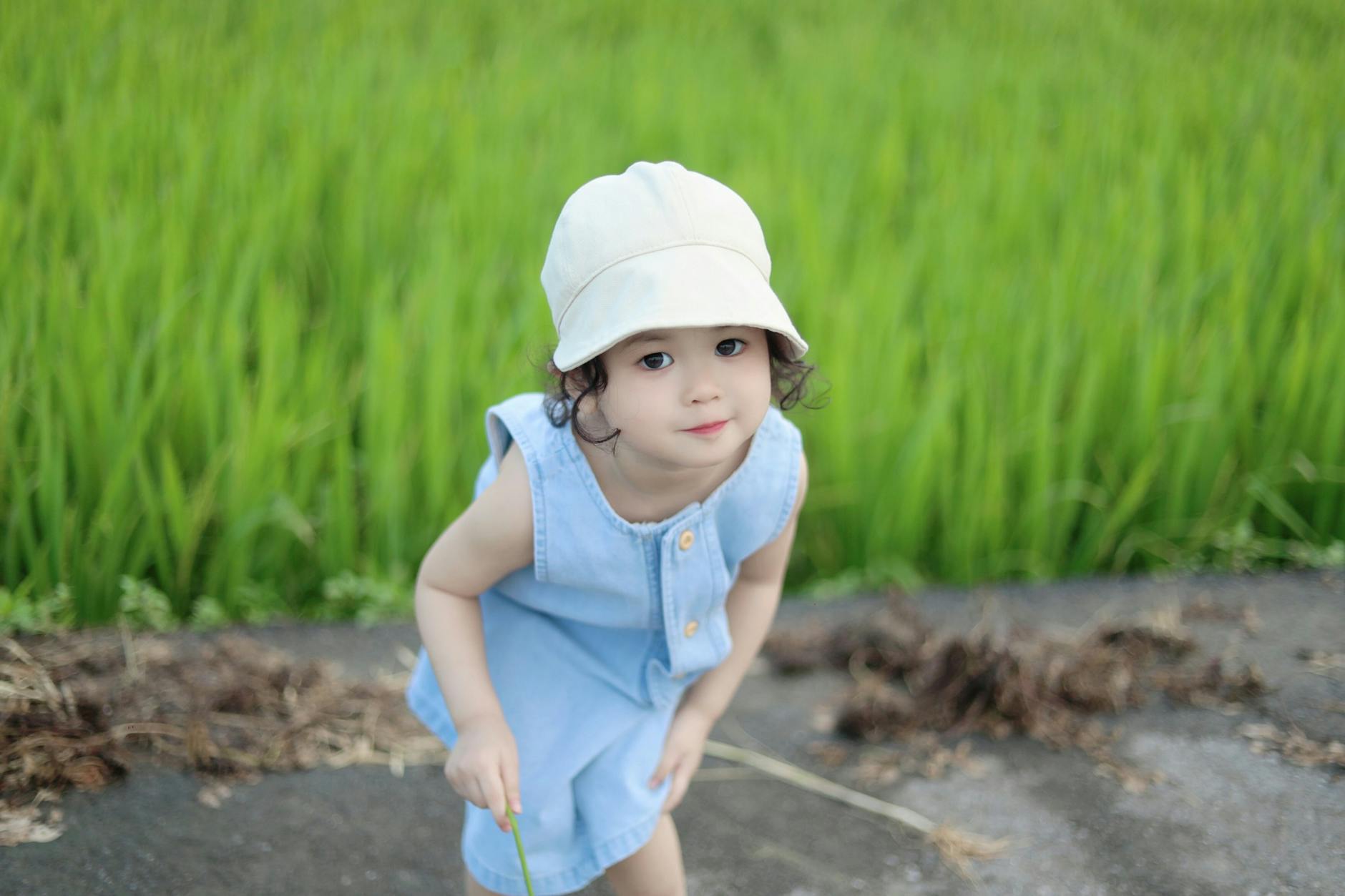 Adorable child in blue dress and hat enjoying a summer day outdoors. - toddler spring nature