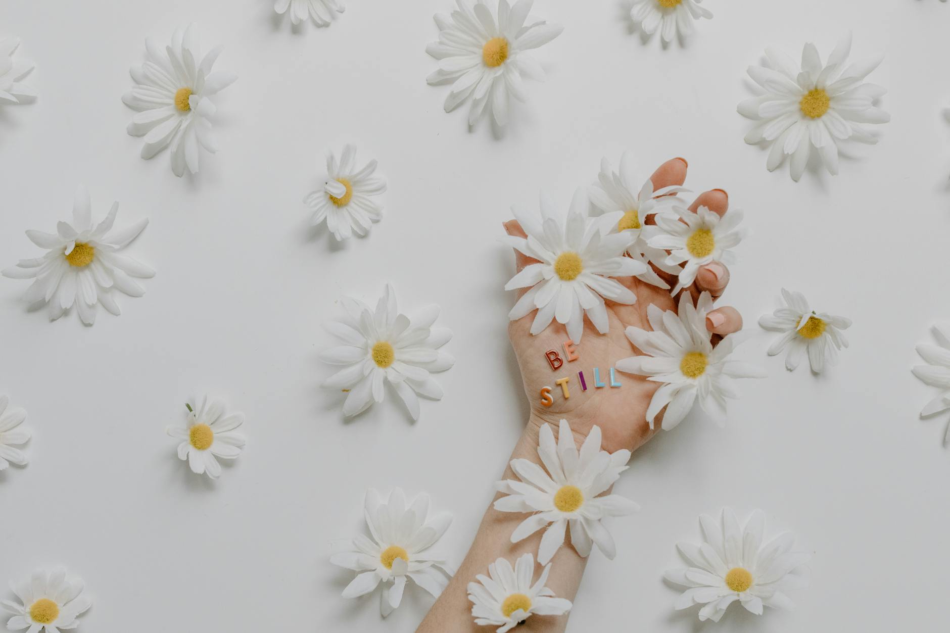 Flat lay of daisies with hand and inspirational 'be still' text, creating a calming floral scene. - dbt skills spring