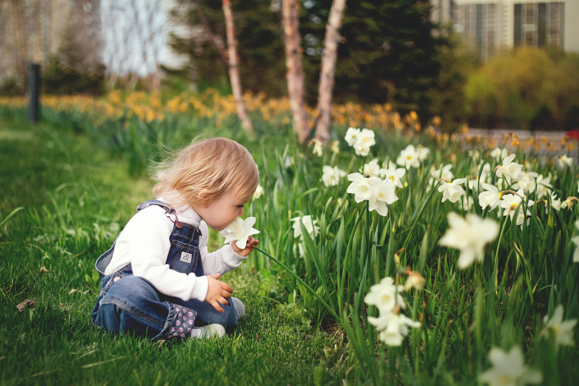 Young child smelling daffodils in a lush spring garden, embracing nature and curiosity. - kid resilience spring transition