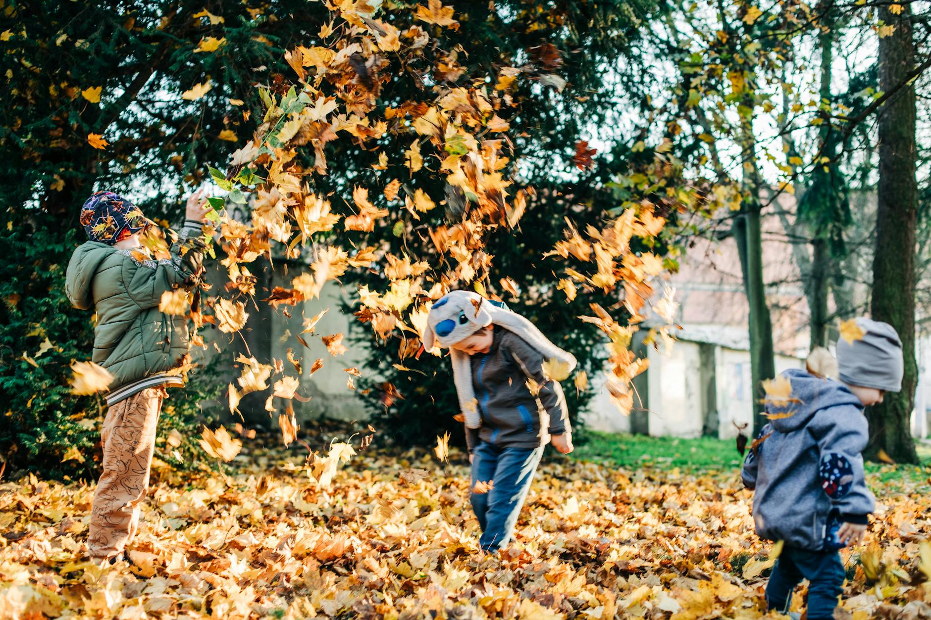 Children toss autumn leaves in a playful outdoor setting, enjoying fall weather. - kids cope change