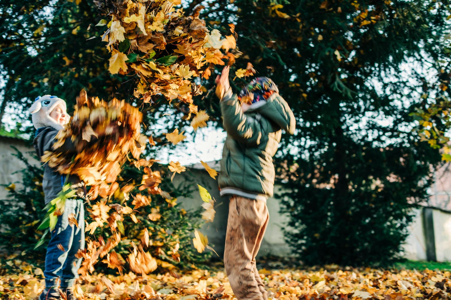 Kids joyfully playing in fallen autumn leaves in a sunny backyard setting. - kids cope change