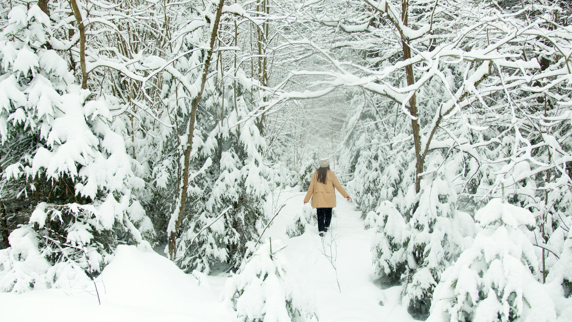 A woman walks through a snow-covered forest path, surrounded by winter trees. - manage winter anxiety