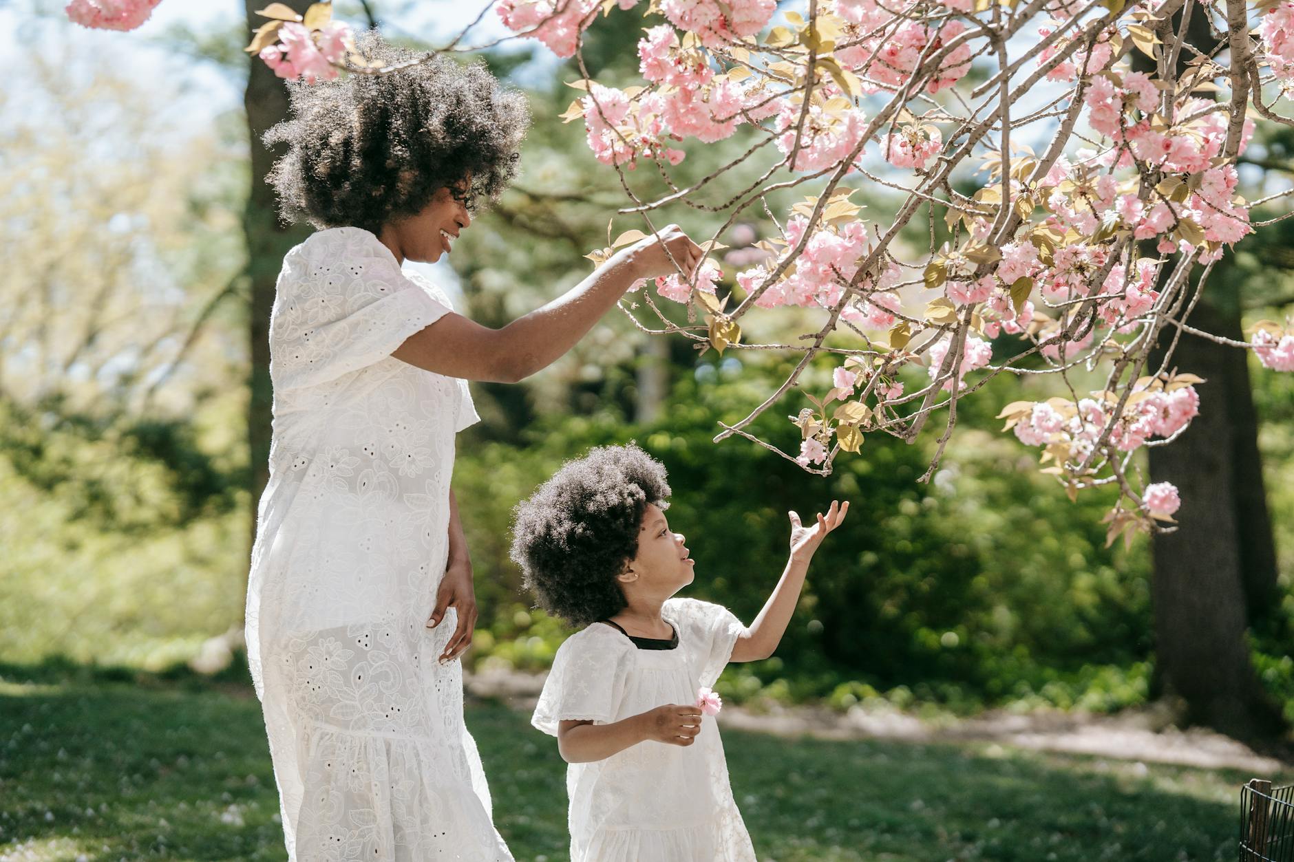 A mother and child in white dresses admire blooming cherry blossoms on a sunny day. - parent burnout spring