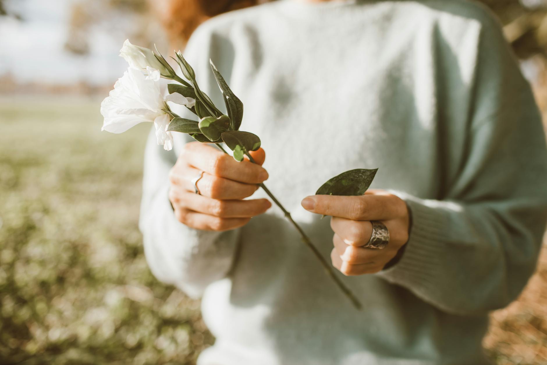 Close-up of a woman's hands holding a white flower outdoors in a sunny field. - post breakup healing