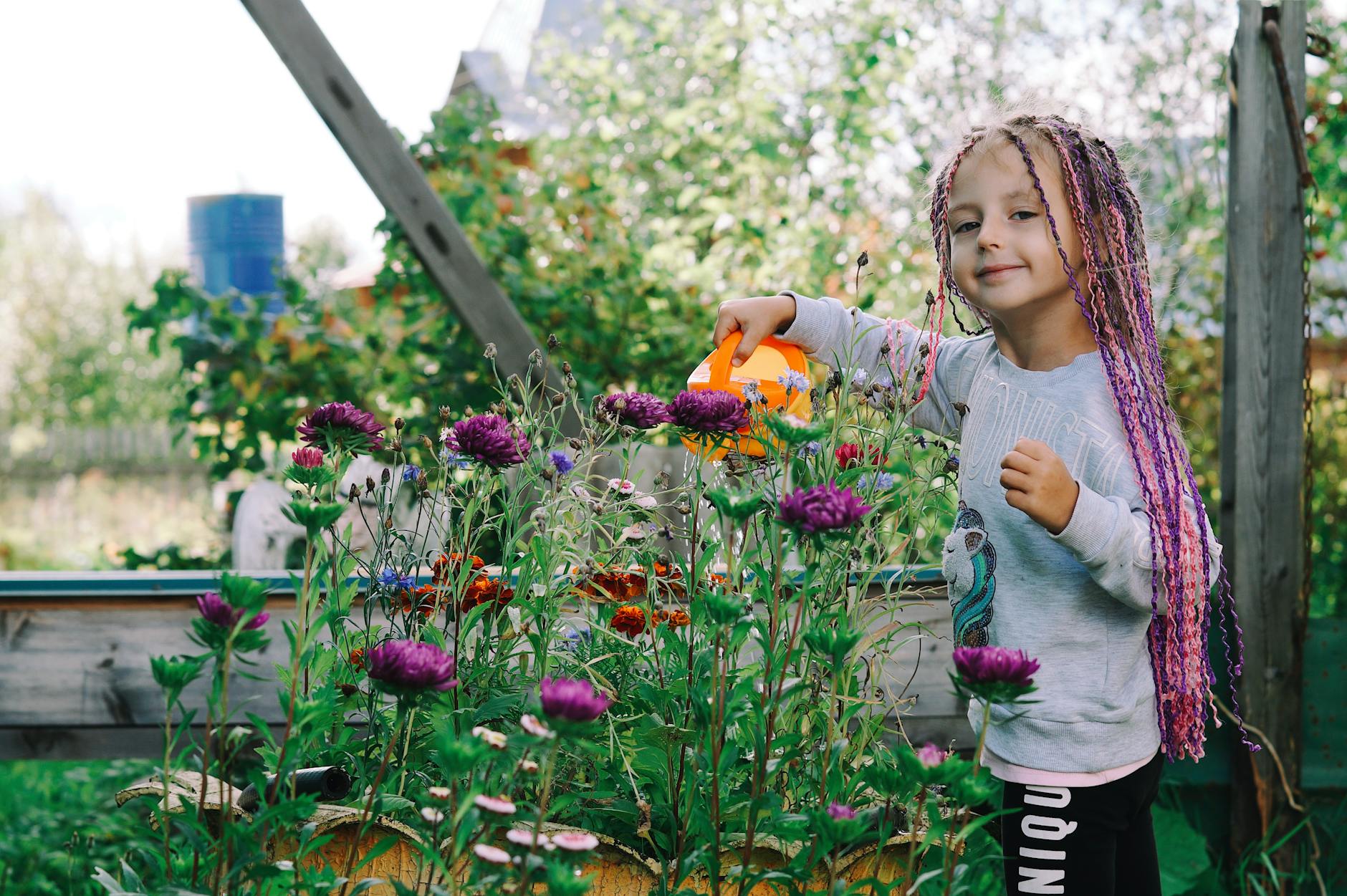 A young girl with braided hair waters vibrant purple flowers in an outdoor garden, smiling gently. - preschool garden activities