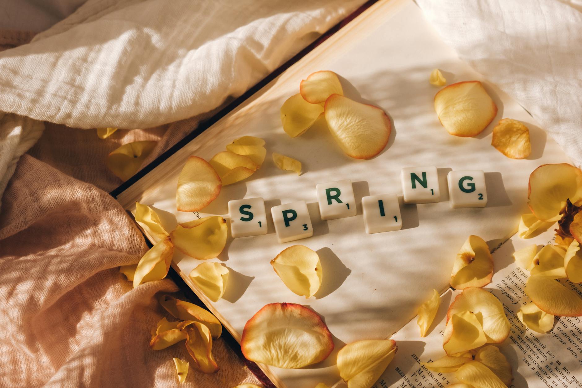 Scrabble tiles spelling 'spring' surrounded by yellow rose petals in warm sunlight. - spring anxiety tips