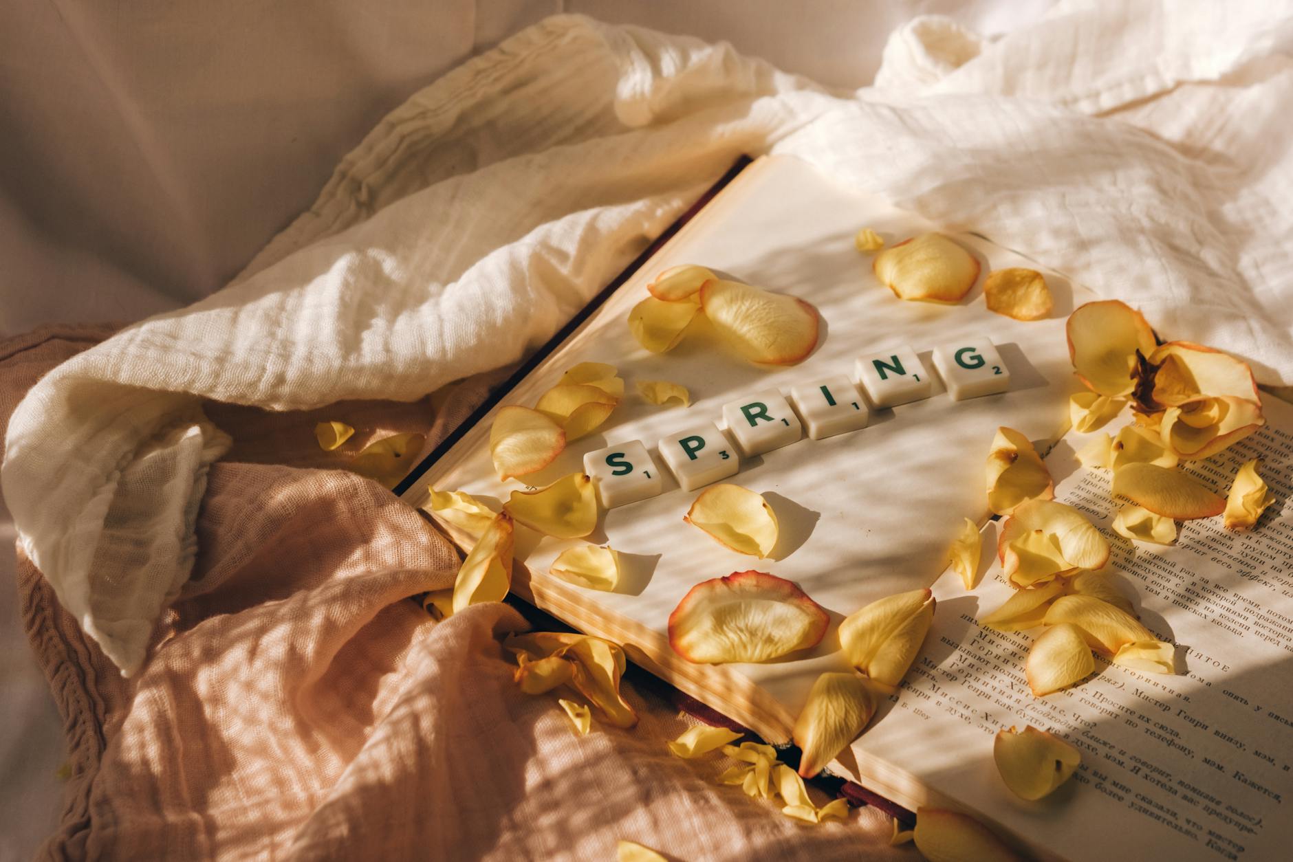 Aesthetic flat lay with SPRING tiles, book, and rose petals, evoking warmth and renewal. - spring anxiety tips