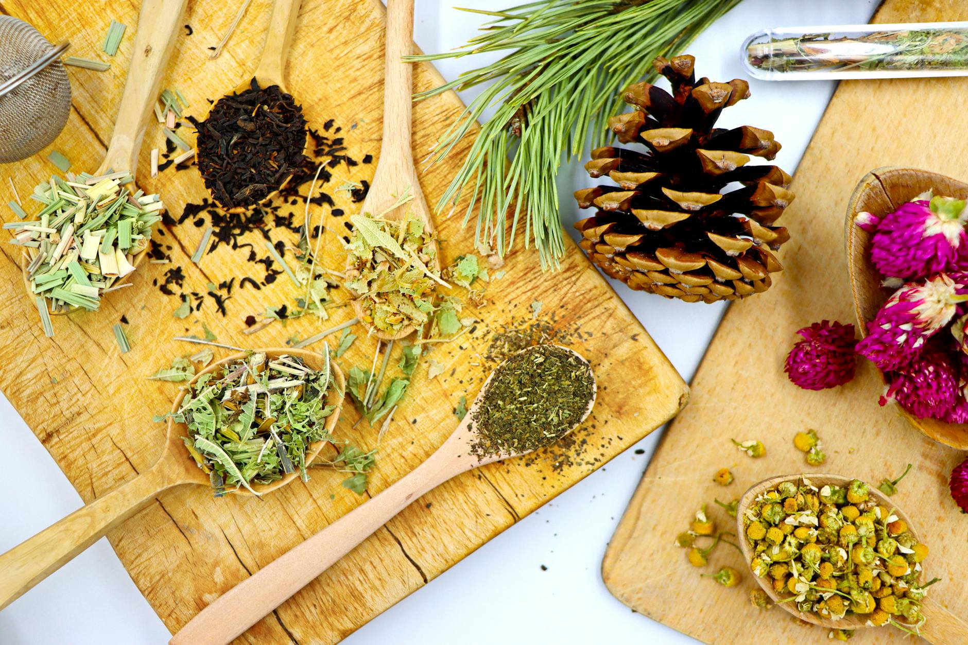 A top view of various herbal tea blends on wooden spoons with pine and flowers, showcasing natural ingredients. - spring fatigue remedies