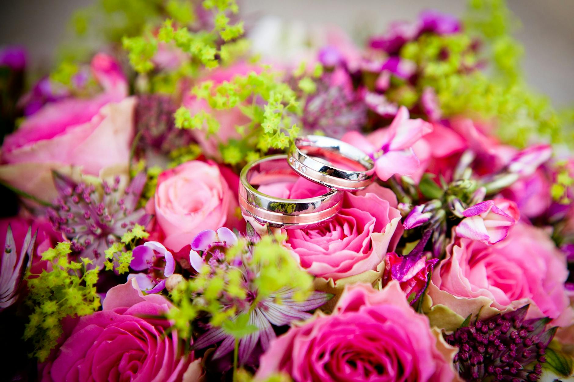 Close-up of elegant wedding rings nestled on a vibrant pink floral bouquet, symbolizing love and celebration. - spring wedding survival