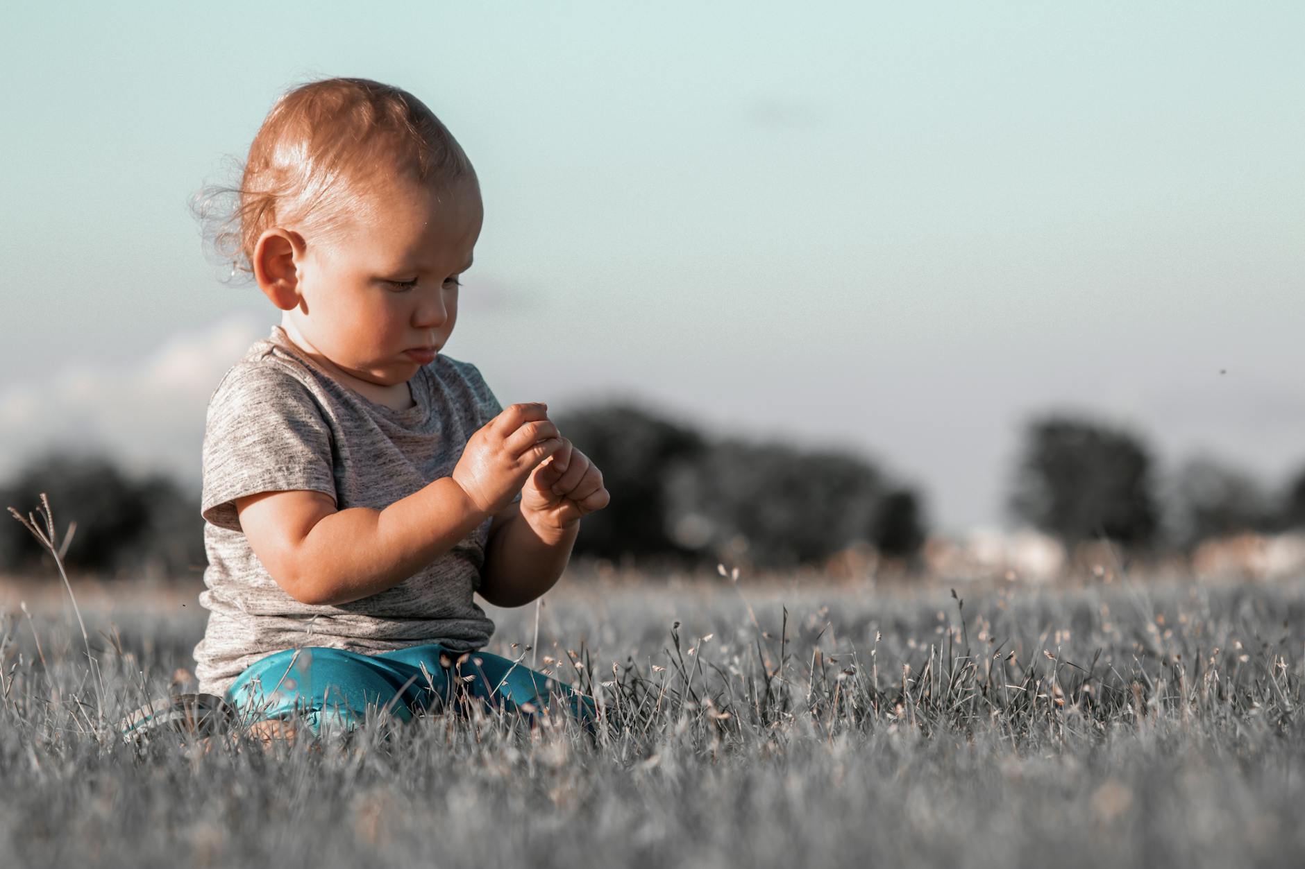 Adorable chunky toddler sitting on grassy meadow and picking flowers with attention on sunny day - toddler personal space