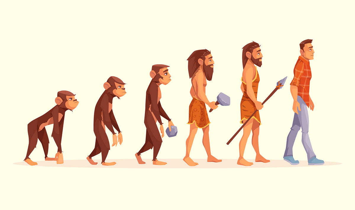 Evolutionary perspective