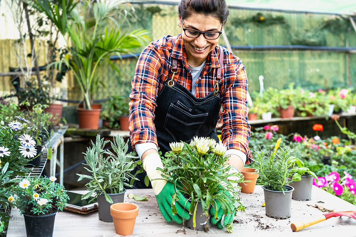 Person nurturing a plant, symbolizing the process of cultivating self-love